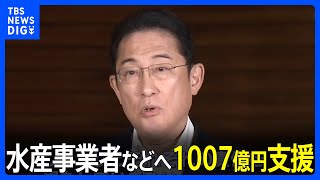 処理水めぐり水産事業者などへ1007億円支援｜TBS NEWS DIG