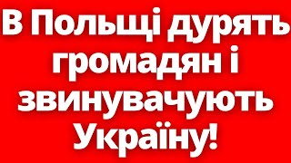 Правду Відкрито! Спустили Всіх Собак На Україну! Як Польський Бізнес Дурить Своїх Громадян?!