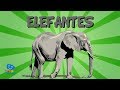 El Elefante | Videos Educativos para Niños