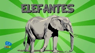 Incompatible Figura zapatilla El Elefante | Videos Educativos para Niños - YouTube