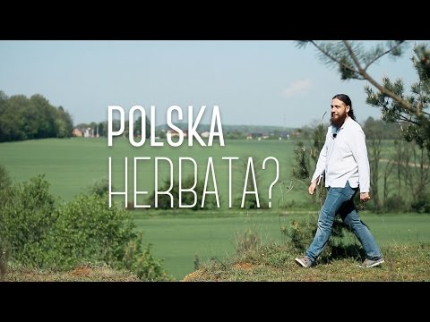 Wideo: Kiedy zbierać herbatę Ivan