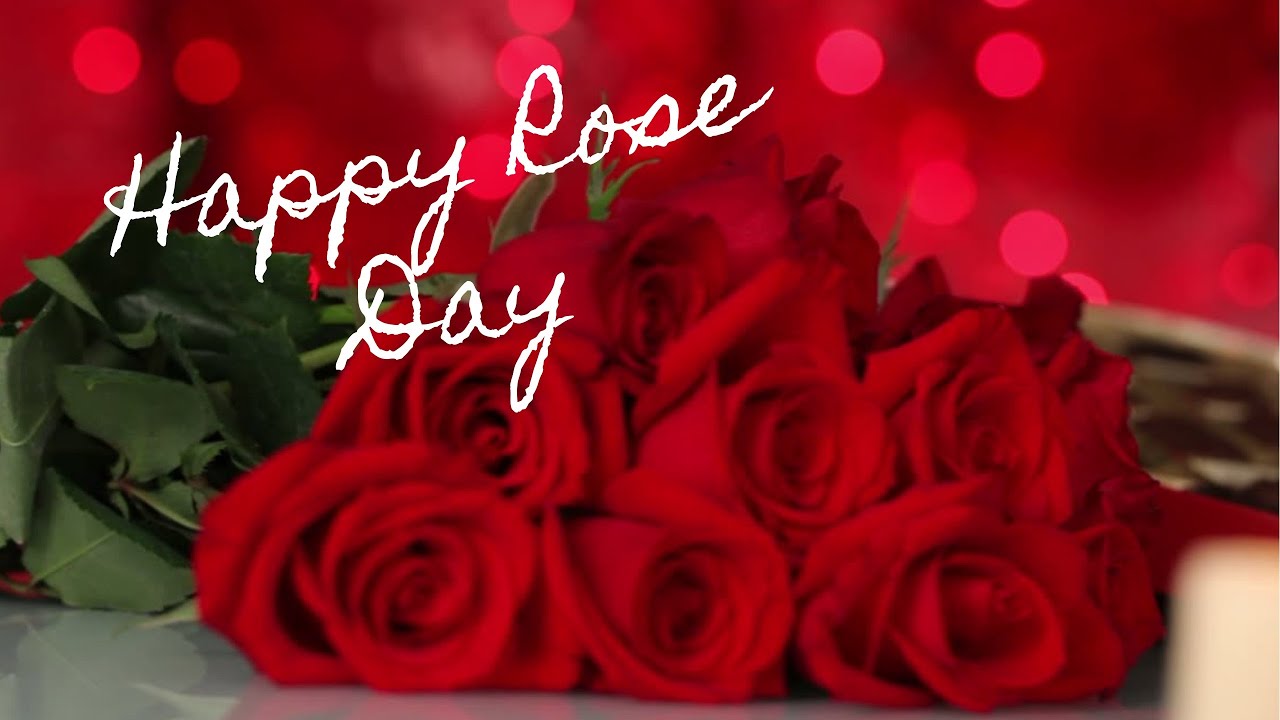Rose quotes || Rose Day 2021
