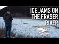 Miles of Ice Broke Free in Front of Me.