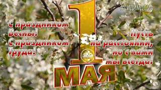 Видеоверсия концерта 1 МАЯ