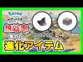 【レジェンズアルセウス】超効率的にレアアイテム乱獲!ガチグマ最強周回ルート!くろのきせき・ピートブロック、バサギリ【Pokemon Legends: Arceus】