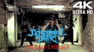 CEREBRAL BORE - The Bald Cadaver (AI Restored 4K)