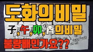 자오묘유도화의비밀-왕지의비밀,왕지를 가지고 있다면 필독하라