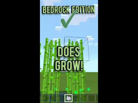Can You Bonemeal Sugarcane Java?