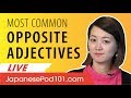 Japanese Most Common Opposite Adjectives