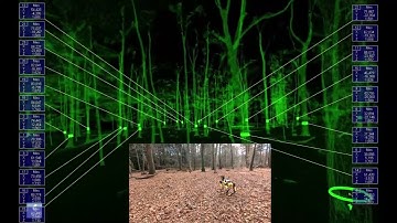Boston Dynamics Spot the robot dog scans a forest