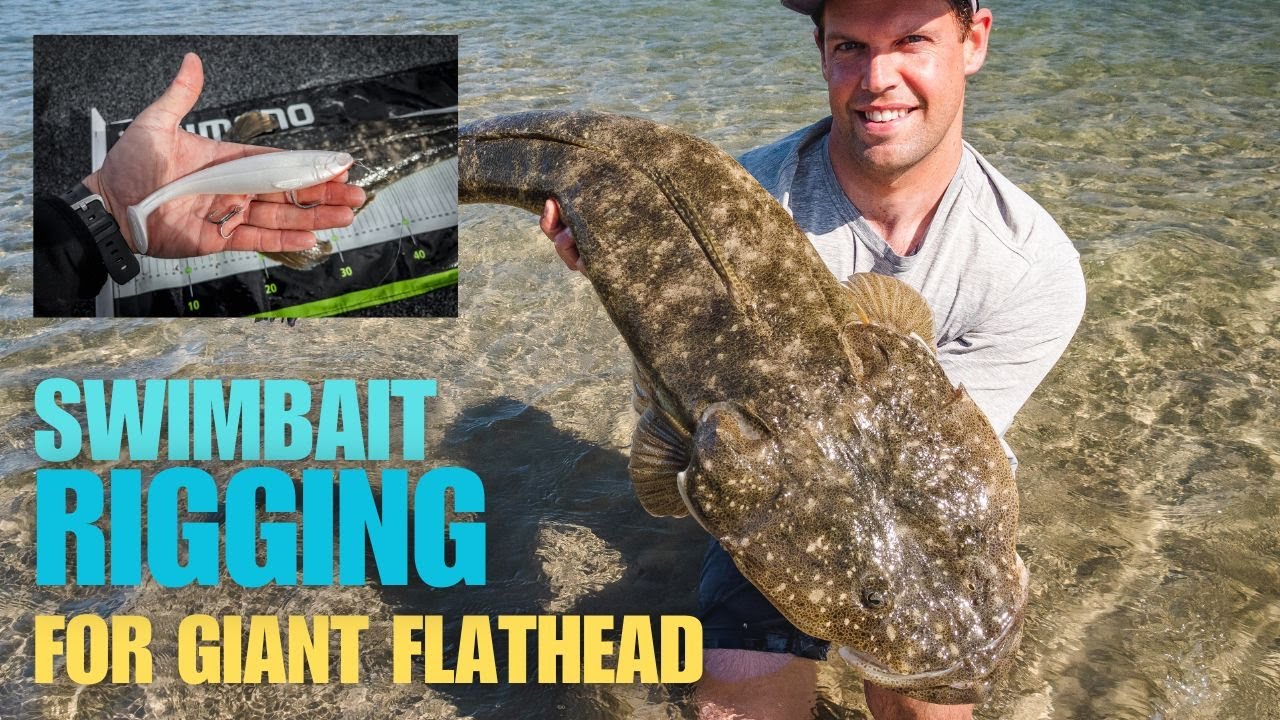 Rigging big soft plastic SWIMBAITS for GIANT FLATHEAD YouTube