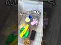 Sensory ABC Bin Refresh | Winter to Cookie Theme Literacy Center Transformation