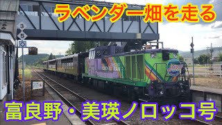 【観光列車】ラベンダー畑を駆け抜ける富良野・美瑛ノロッコ号に乗ってきた！！