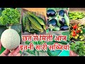 छत से मिली आज इतनी सारी सब्जियां  Harvesting Organic Summer Vegetables From Rooftop Vegetable Garden