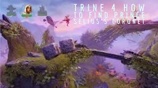 Trine 4 How To Get Seliuss Coronet