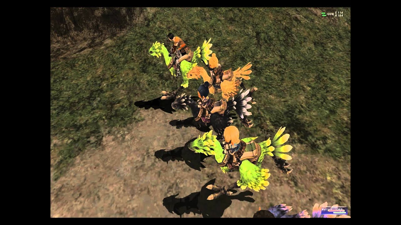 FFXI Chocobo Racing: International Race II - YouTube