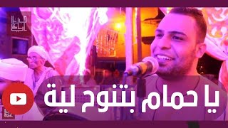 ياحمام بتنوح ليه مع الشيخ محمود الرنان في مدينة إسنا