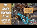 Mr toads wild ride with straight line mtb