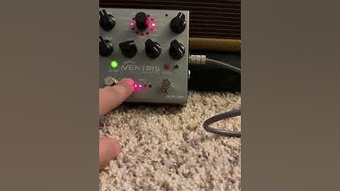 Source Audio Ventris Reverb // Echoverb, E-Dome, and True Spring