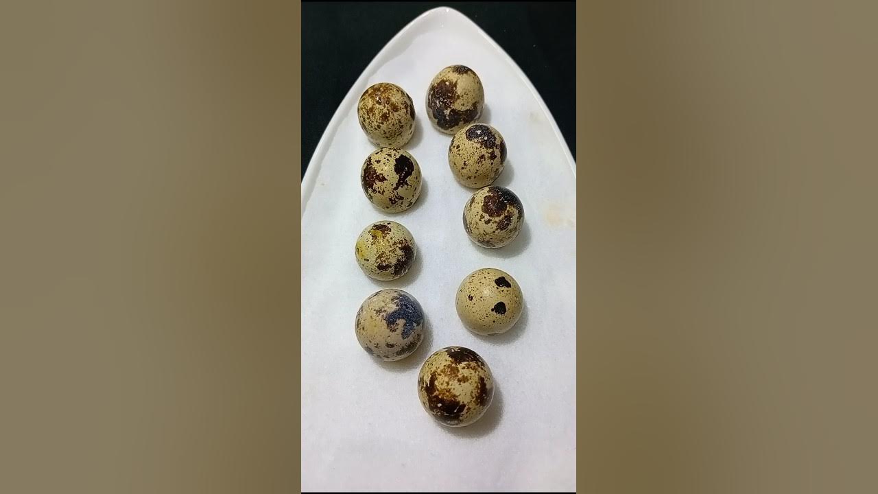 Koyal egg 🥚 amlet(cuckoo)shortsshortsfeed YouTube shortschefviral