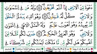 سورة الروم بصوت القارئ ياسين الجزائري برواية ورش عن نافع من طريق الأزرق