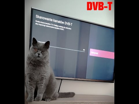 CANAL PLUS BOX + Programy DVB-T na WOLFie [LiveChannels]