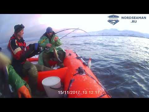 Баренцево море, рыбалка