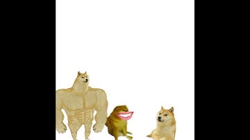 bạn chỉ cần một nụ cười tự tin