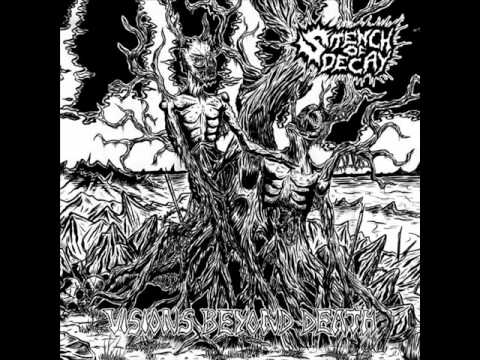 Stench of Decay  Visions Beyond Death