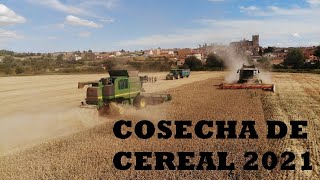 Cosecha de cereal//Harvest Spain 2021 [4k]