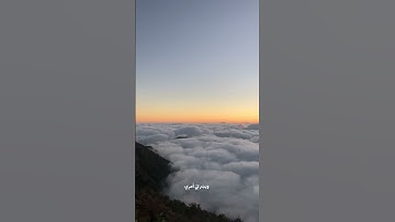 سورة طه || الآيه: 25-26-27-28 || القارئ: #شريف_مصطفى #القرآن #تلاوة #ترتيل #قرآن_كريم #آيات
