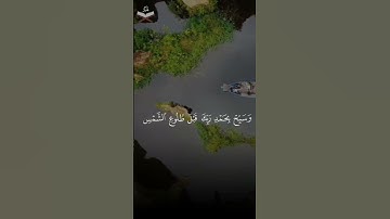 حالات واتس تلاوة هادئة بصوت القارئ حسام الدين عبادي #قرآن #حالات_واتس