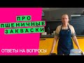 Про пшеничные закваски: отвечаю на ваши вопросы!