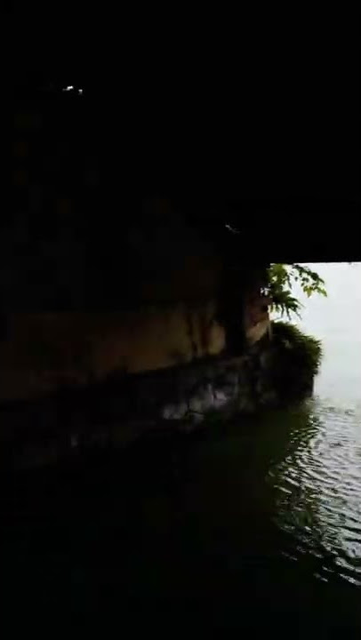 Haripad temple vibes.............................. #haripdtemble