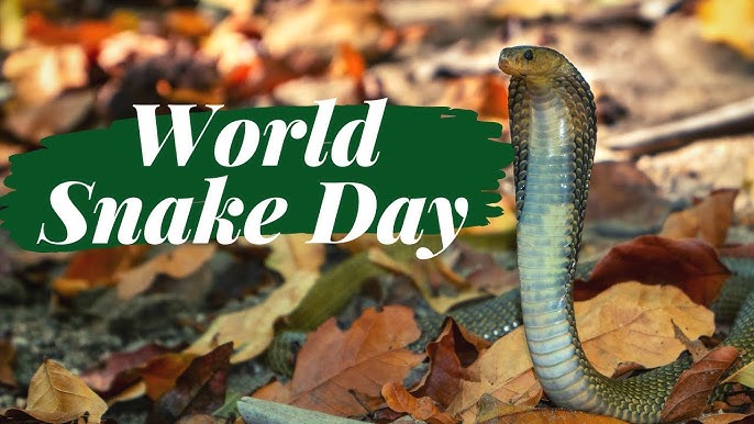 World Snake Day Celebrated July 16 – Los Alamos Reporter