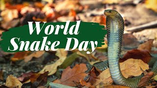 World Snake Day!