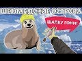 Шетландские острова: Морские котики. Экскурсия по школе. Заброшенный бункер [20 серия]