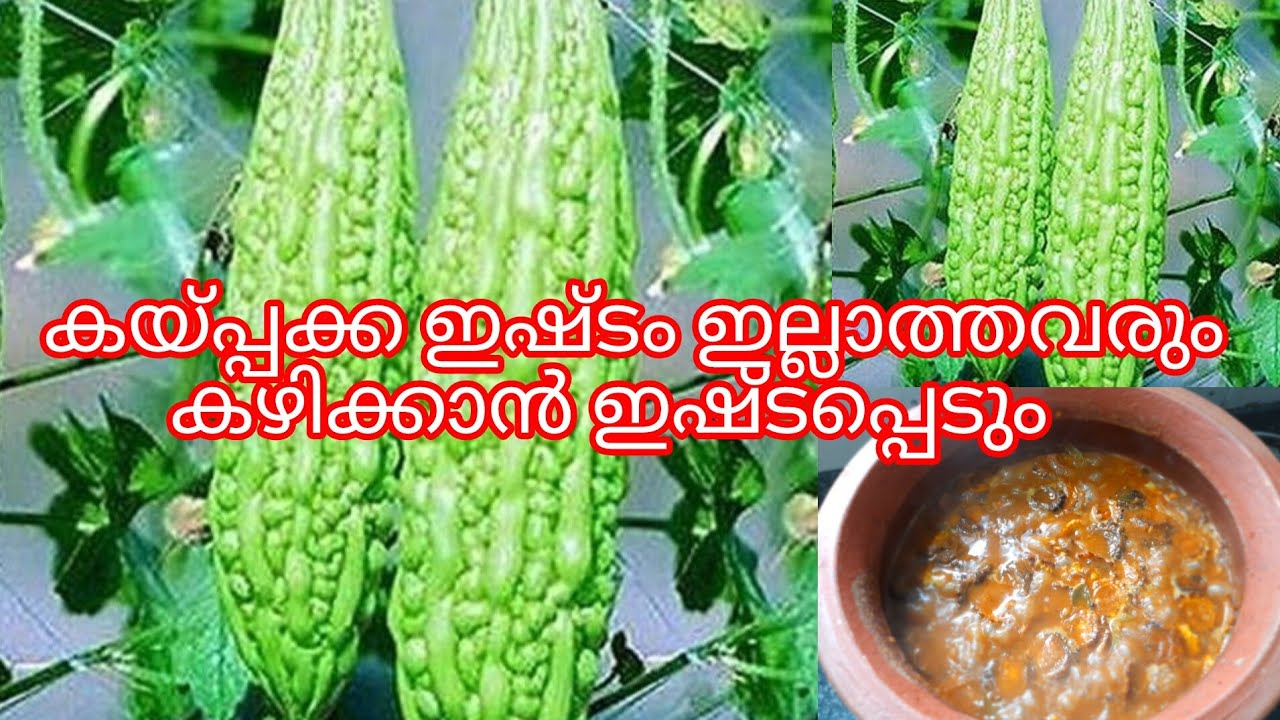 കയ്പ്പക്ക ഇഷ്ടം ഇല്ലാത്തവരും ഇഷ്ടപ്പെടുന്ന കറി