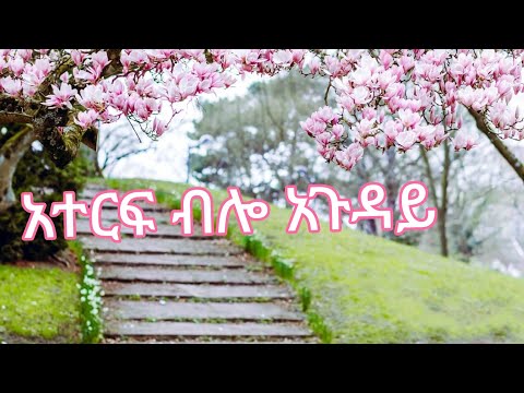 ለቲጂ አገልግል ባለሀብቱ ሸህ አላሙዲም ትልቅ ደረጃውን የጠበቀ ሱፐር ከፈቱላት ዋውውው Ytbe የተንቢ Tube