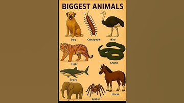 part-26 world mythical creature 😱