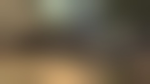 Wrong settings - Dispute