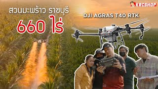 สวนมะพร้าว จังหวัดราชบุรี 660 ไร่ ใช้โดรนการเกษตร DJI T40 RTK
