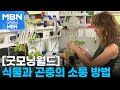[굿모닝월드] 식물과 곤충의 소통 방법 [굿모닝 MBN]