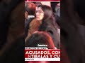 El tenso cara a cara en el juicio por el Caso Loan