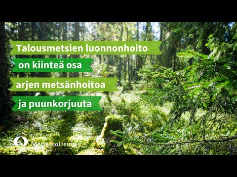 Talousmetsien luonnonhoito on