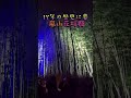 17年の歴史に幕!今回が最後の【京都・嵐山・花灯路】Arashiyama Hanatouro #shorts