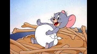 Tom And Jerry Cartoon Little Jerry Fun Cartoon