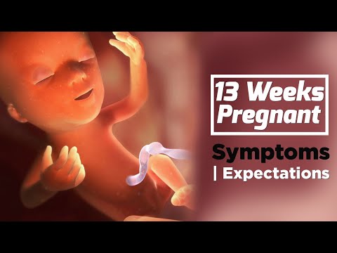 Video: 13 Weeks Pregnant - Fetal Size, Belly, Discharge