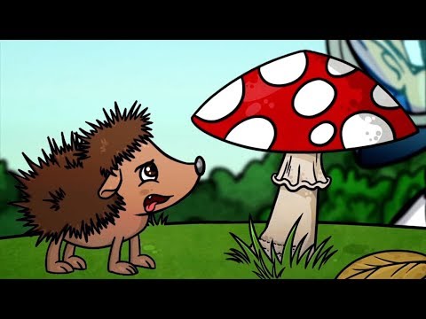 Профессор Почемушкин - Развивающий мультфильм для детей –Почему некоторые грибы называют ядовитыми?