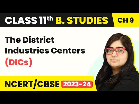The District Industries Centers (DICs) | Class 11 Business Studies Chapter 9 |